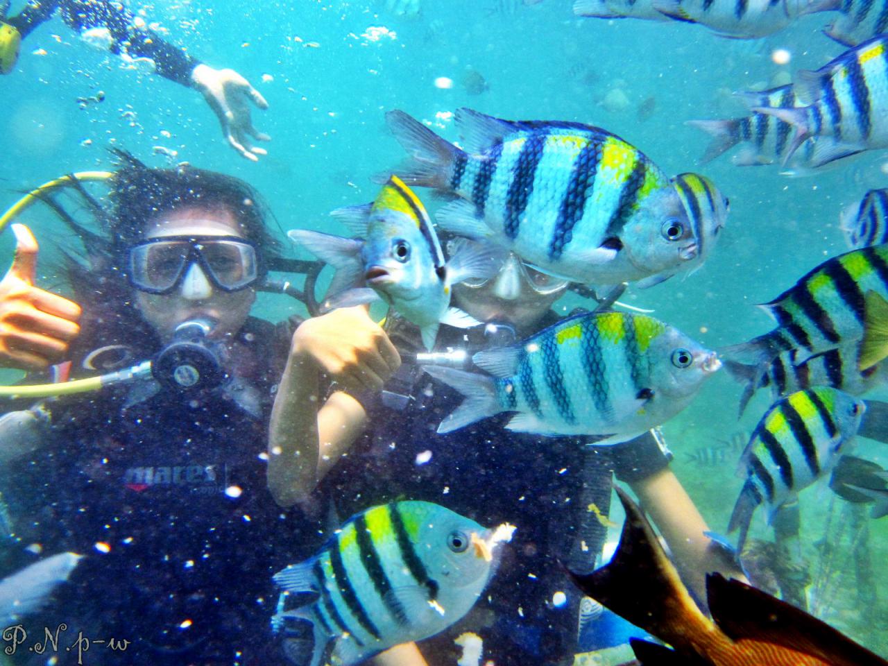 BALI ,WITA and AWESOME #1 BALI ,WITA and AWESOME #1