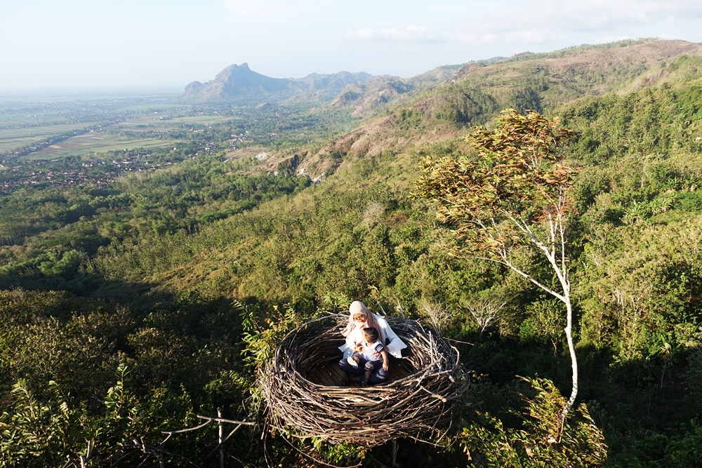 Bersarang di Bukit Jomblo