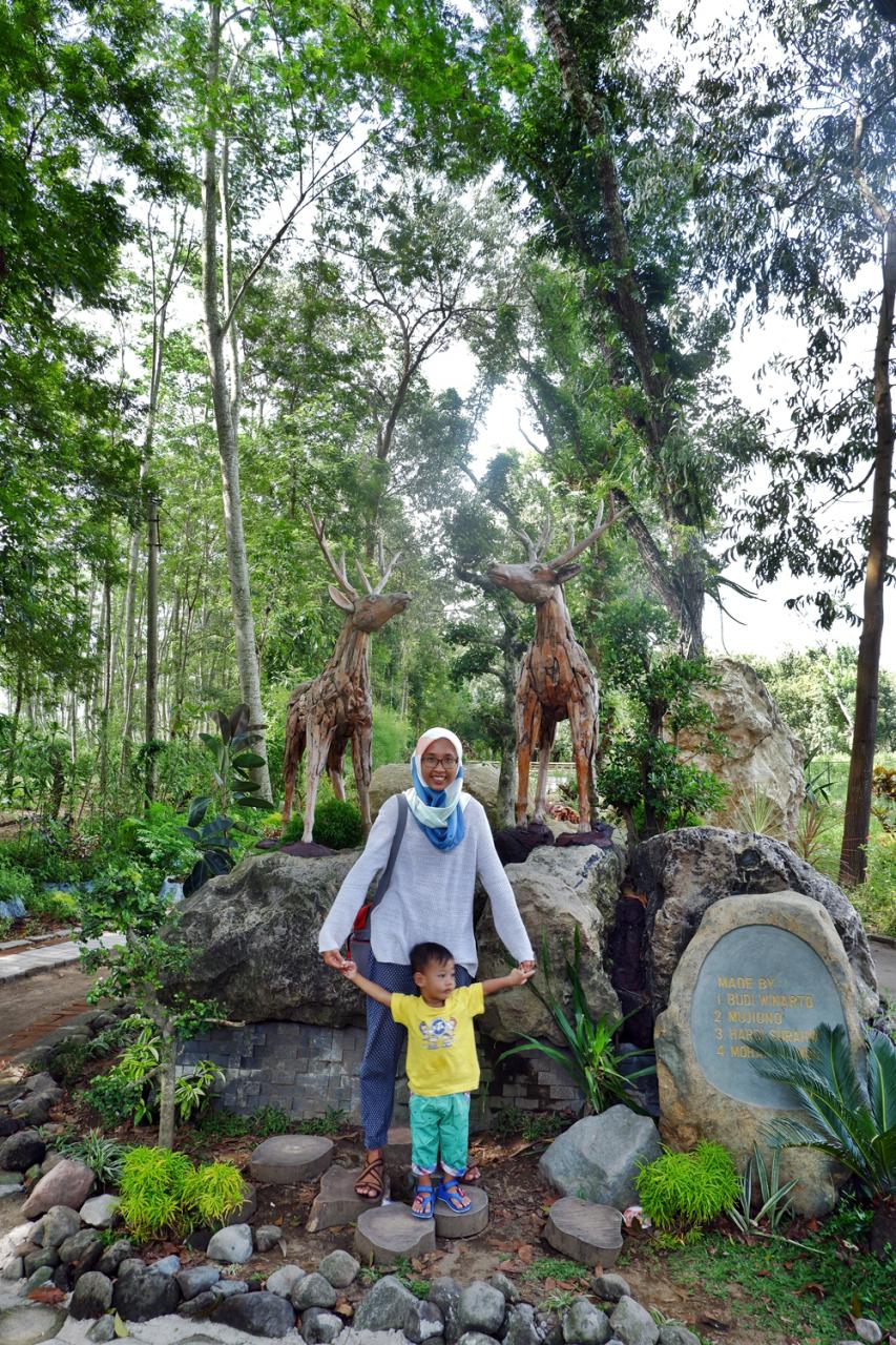Jumpa Puluhan Rusa di Penangkaran Rusa Maliran Jumpa Puluhan Rusa di Penangkaran Rusa Maliran